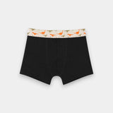 Boys Boxers (Pack of 3) - Dino