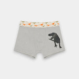 Boys Boxers (Pack of 3) - Dino
