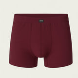 Men Retro Boxershort (Pack of 1)