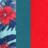 Tropical Tide