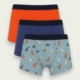 Boys Boxers (Pack of 3) - Savys - 