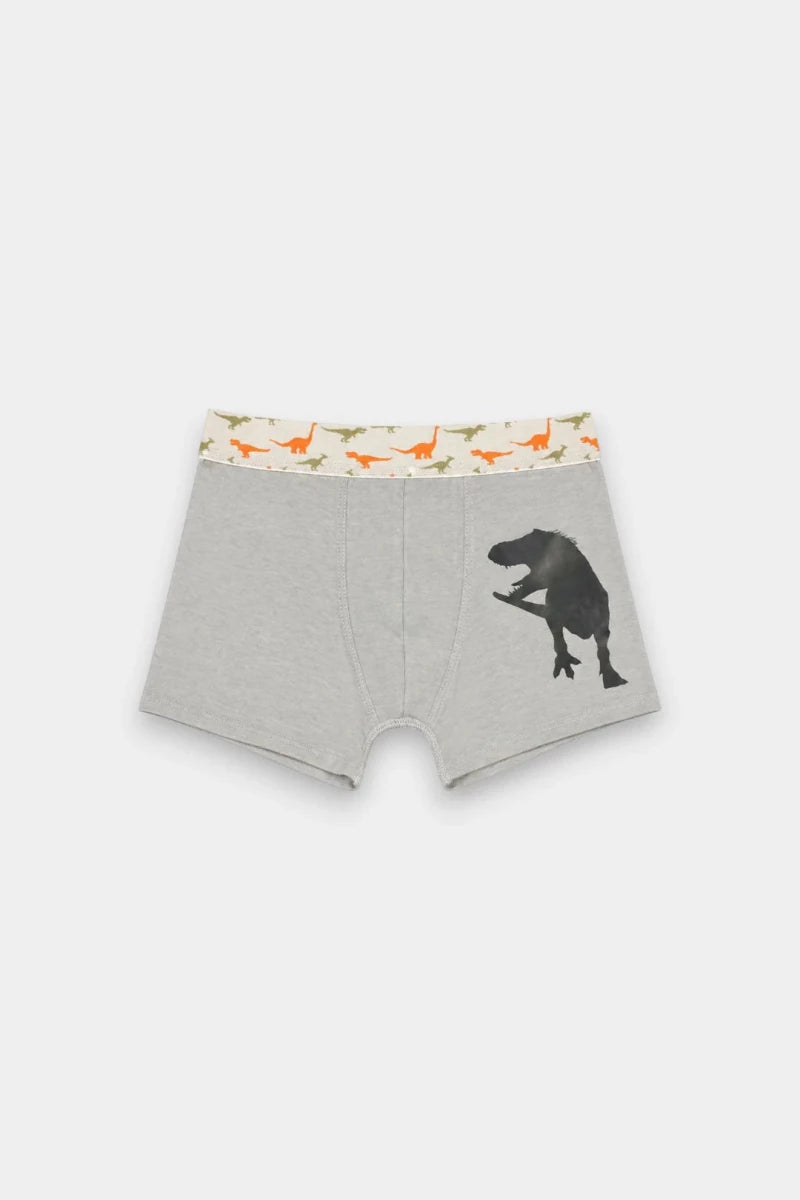 Boys Boxers (Pack of 3) - Dino - Savys Retail -