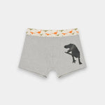 Boys Boxers (Pack of 3) - Dino - Savys Retail -