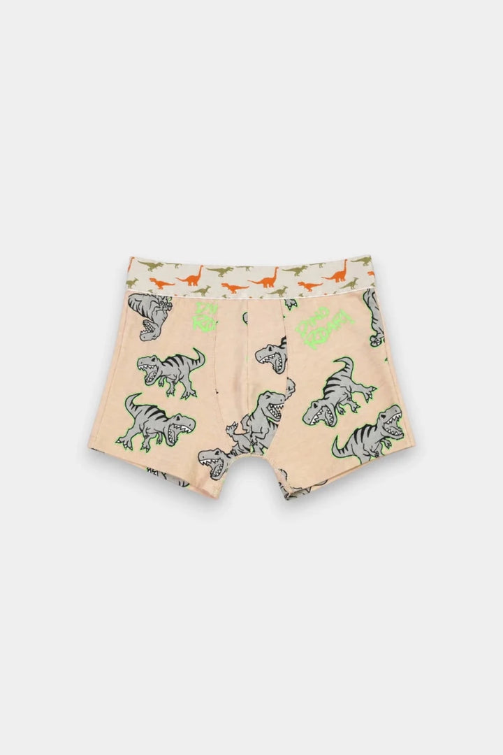 Boys Boxers (Pack of 3) - Dino - Savys Retail -